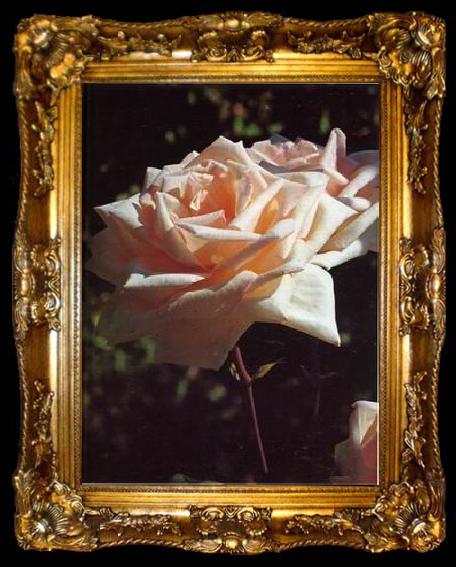 framed  unknow artist Still life floral, all kinds of reality flowers oil painting  365, ta009-2